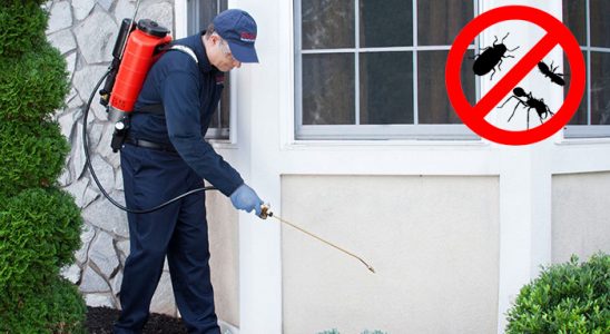 Sındırgı Dezenfeksiyon böcek ilaçlama ve haşere kontrolü — ilaclama-tr.com